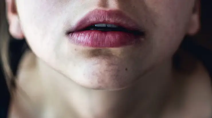 Description of the pic