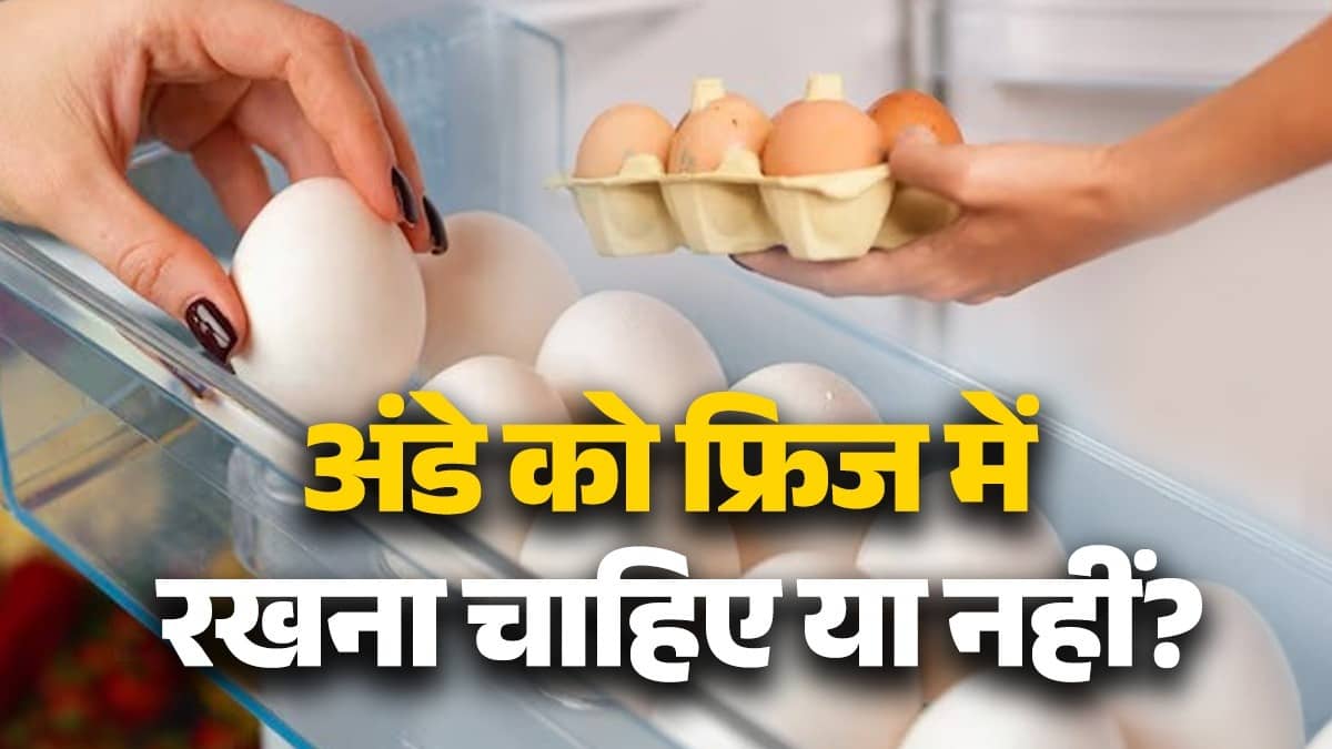 can we store eggs in fridge know right way to store eggs storage tips 