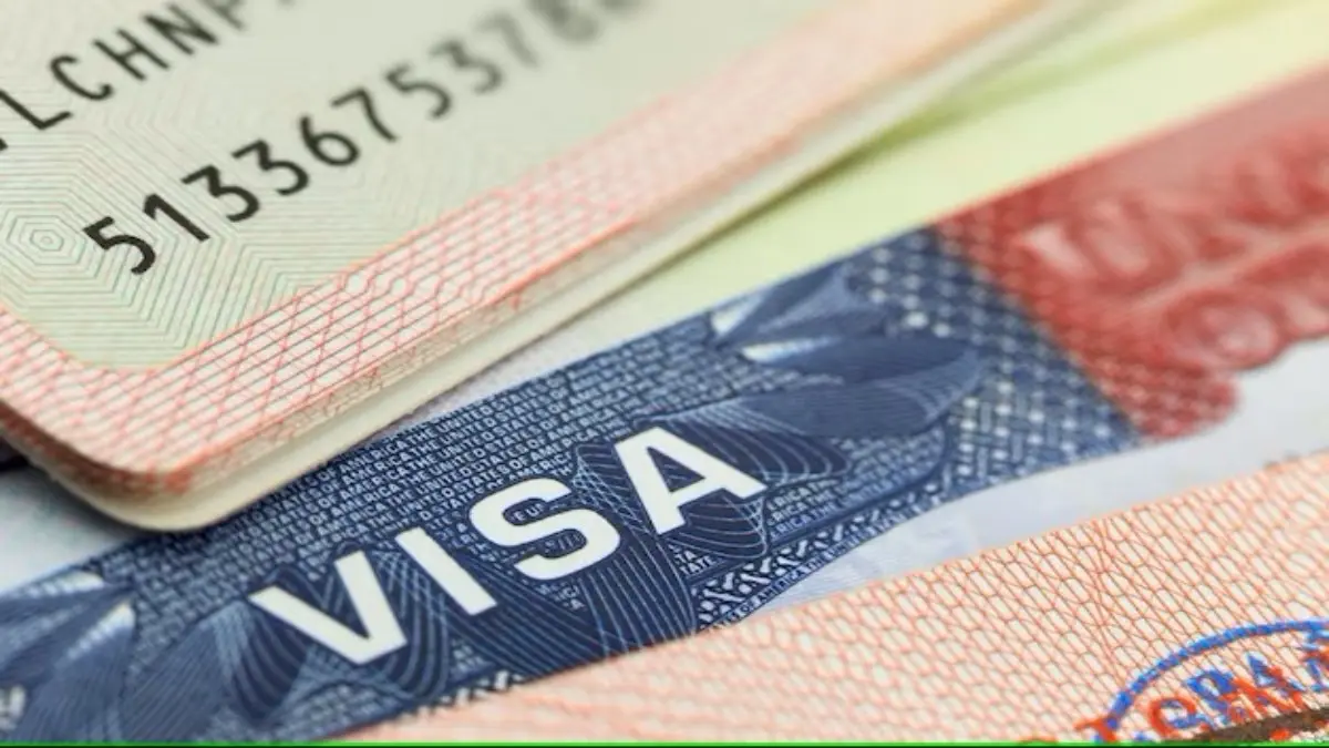 Here's How Canada's Student Visa Crackdown Has Impacted Indian Applications