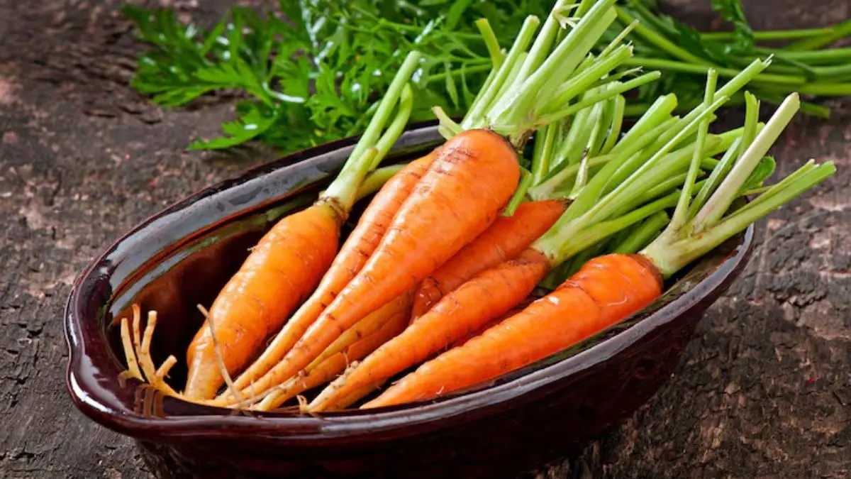 Winter Diet Tips: ठंड में रोज खाएं गाजर, इसके जबरदस्त फायदे जान चौंक जाएंगे आप carrot benefits in winter