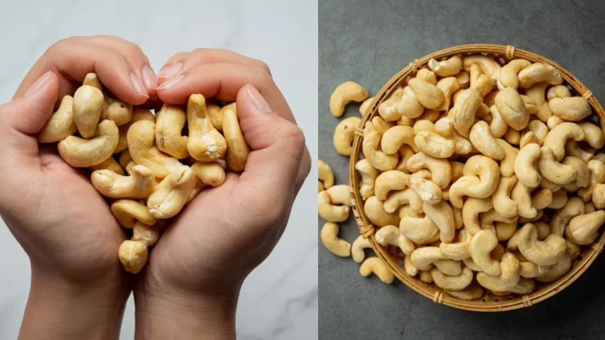 Cashew Fake or Real