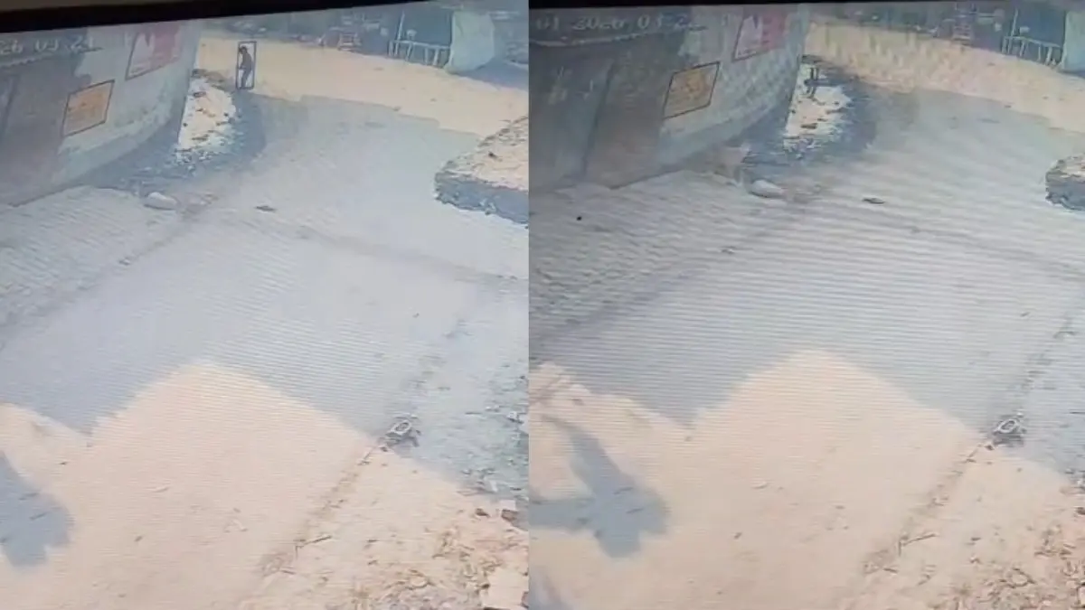 CCTV Footage Shows 11-Year-Old Falling Backward on Open Roadside Drain in Ghaziabad, Dies