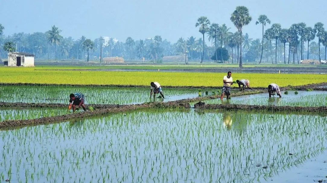 Central government launches national mission for natural farming