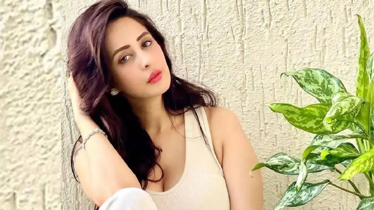 Chahatt Khanna On Two Divorces