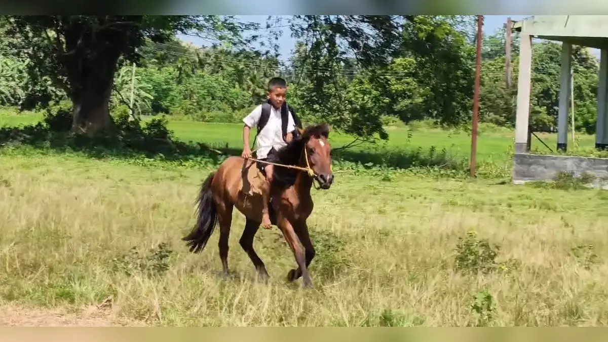 Chaygaon Boy’s Horseback Journey To School Wins Hearts Online