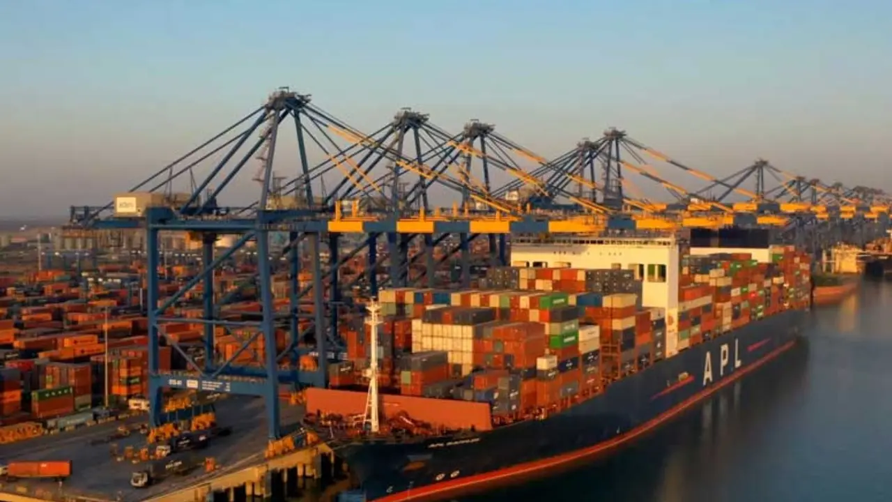 Check Gautam Adani-led company Earnings Announcement Schedule