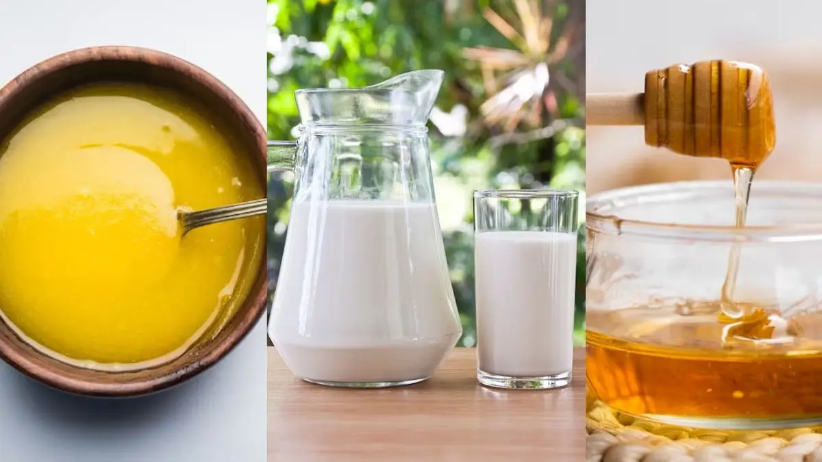 Ghee & Milk Purity at Home : दूध, घी और शहद में मिलावट कैसे पहचानें? घर पर करें ये आसान टेस्ट Check Honey, Ghee & Milk Purity at Home
