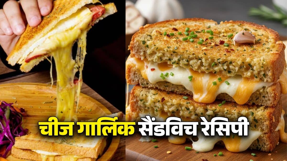 cheese garlic sandwich recipe easy and last minute evening snacks 