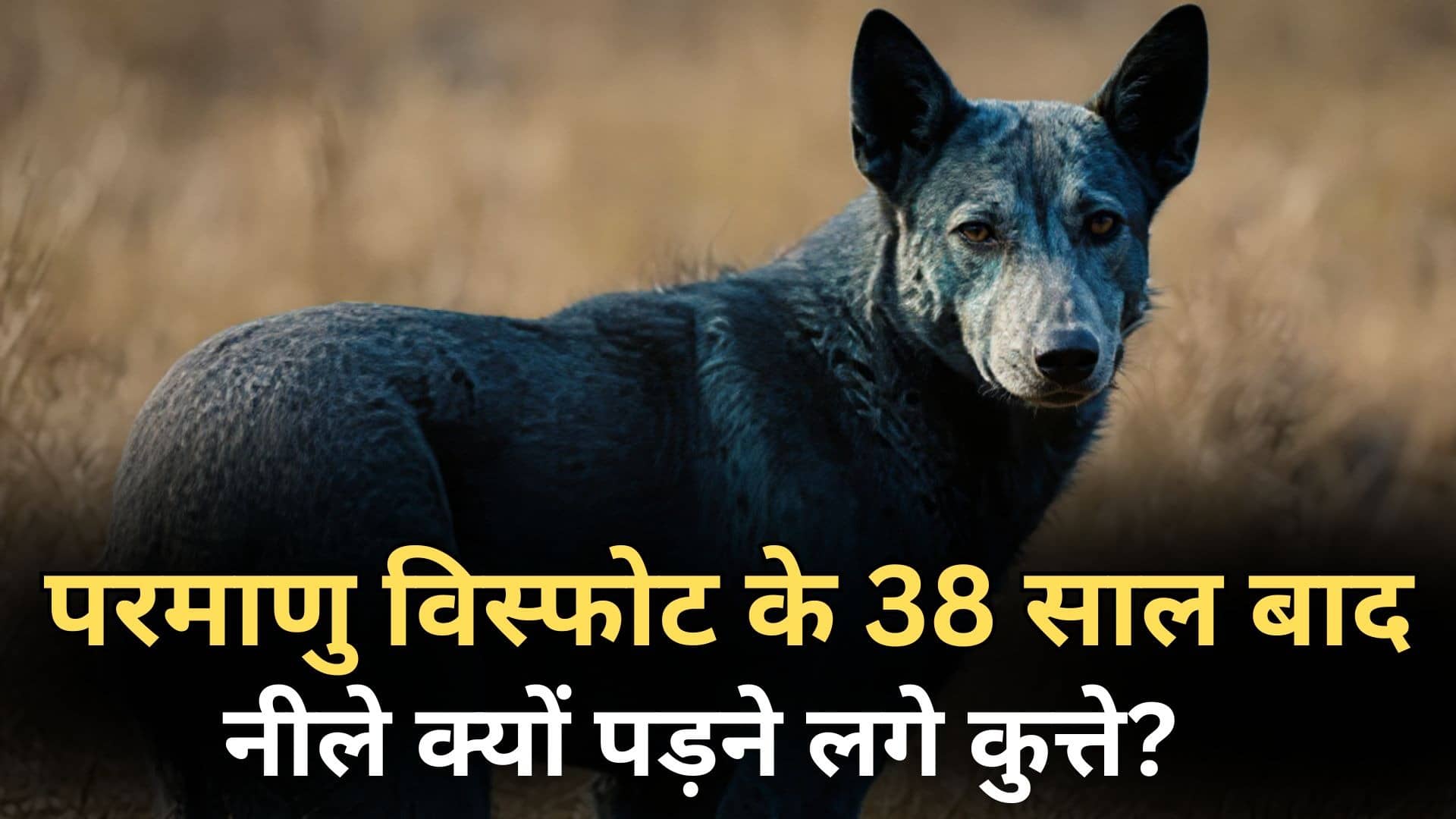 Chernobyl nuclear explosion