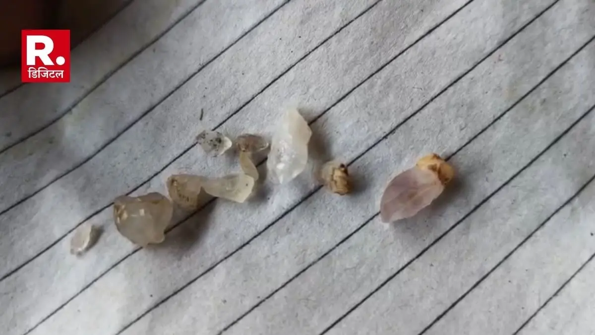 Chhatarpur labour couple find 8 diamond