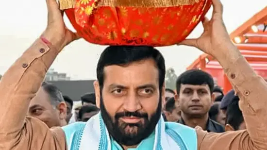 Description of the pic