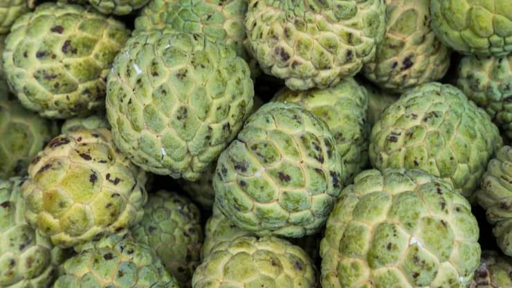 Description of the pic