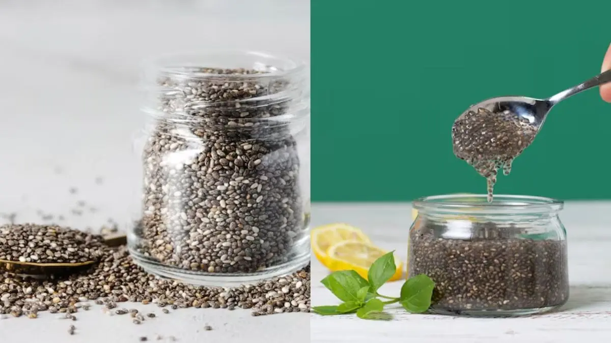 Chia Seeds in Winter