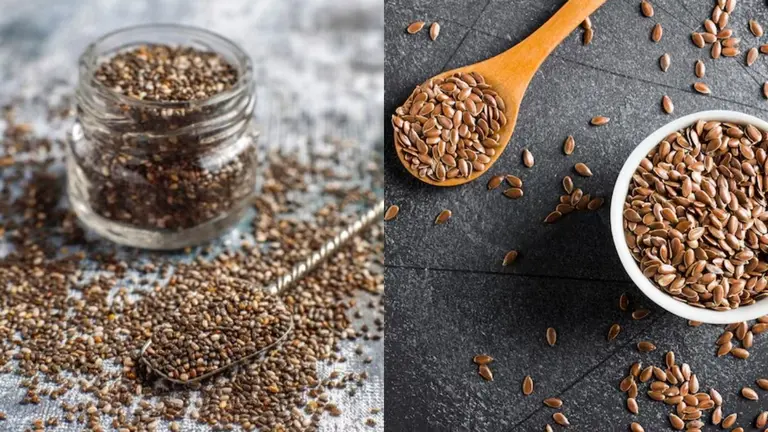 Chia vs Halim Seeds: डाइजेशन के लिए कौन है हेल्दी सीड? किसमें छिपा है ज्यादा न्यूट्रीशन Chia vs Halim Seeds