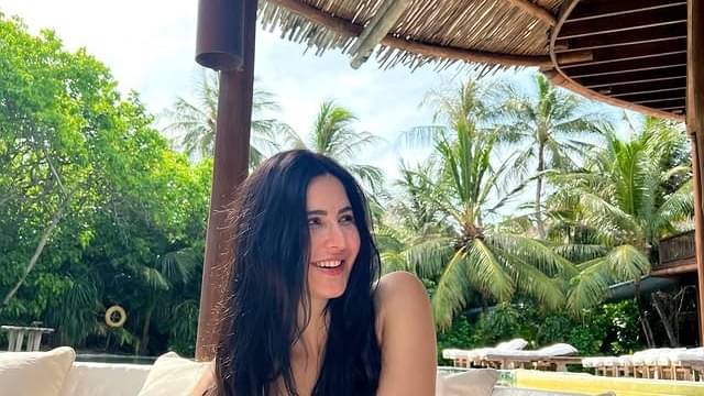 Description of the pic