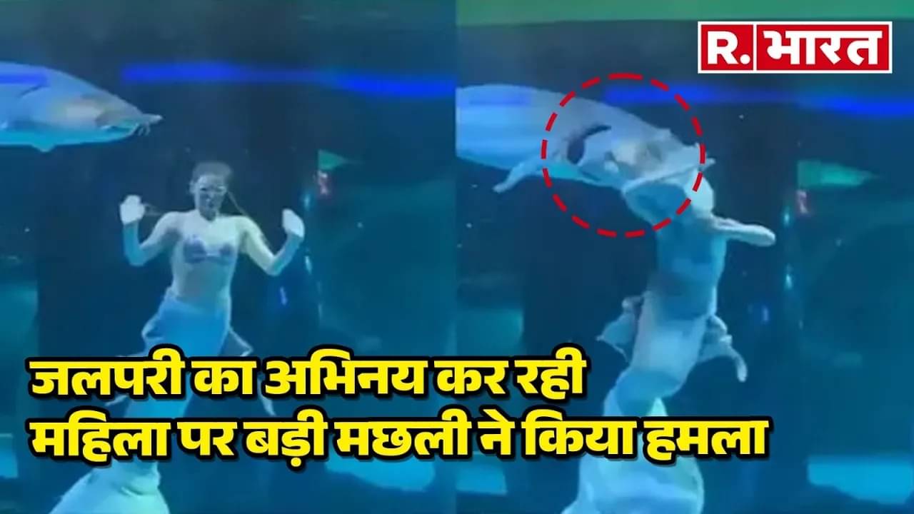 china mermaid fish atatck