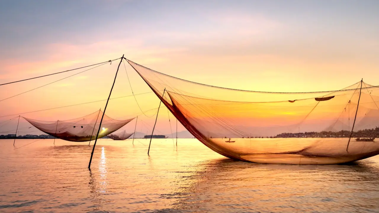 Chinese Fishing Net.