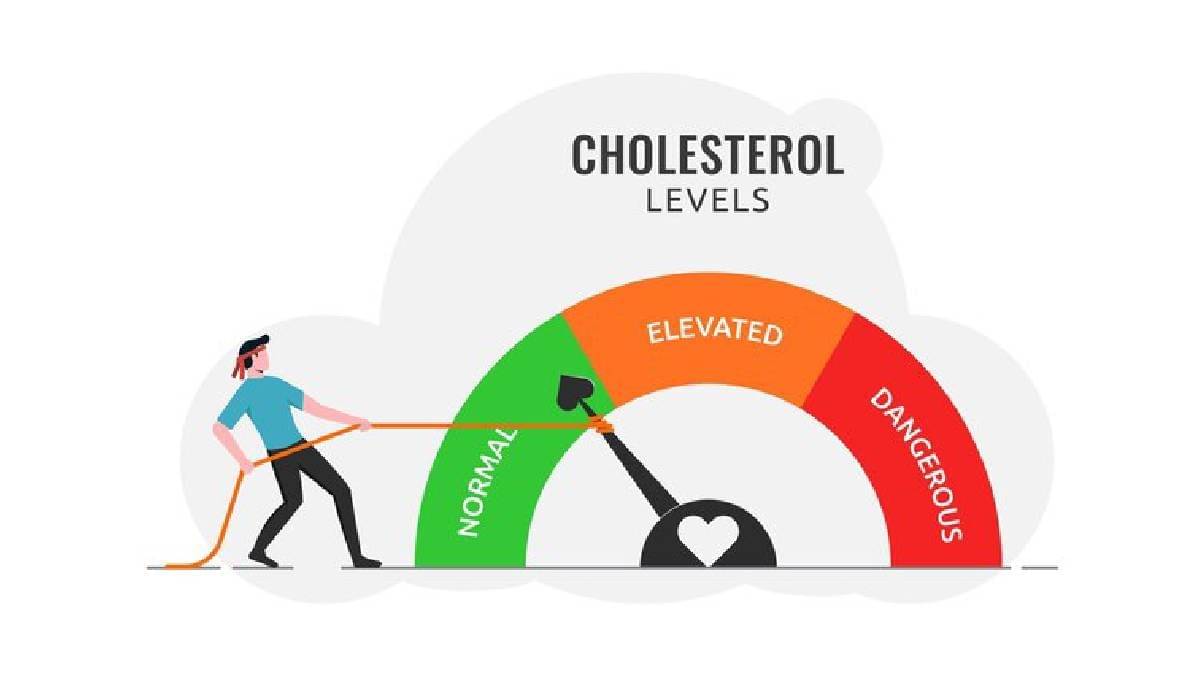 Description of the pic