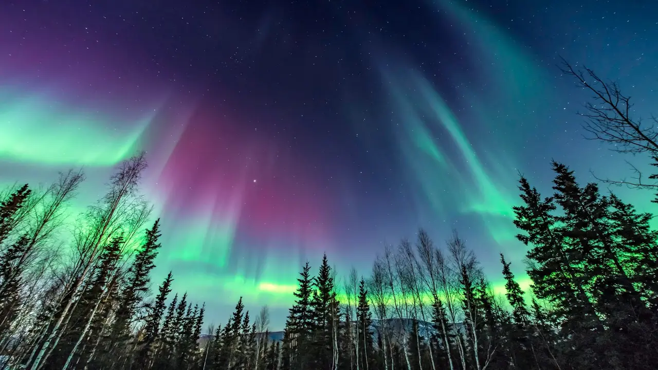 Northern Lights Could Illuminate US Skies On Christmas 2024: Know How To Check Aurora Borealis Christmas 2024