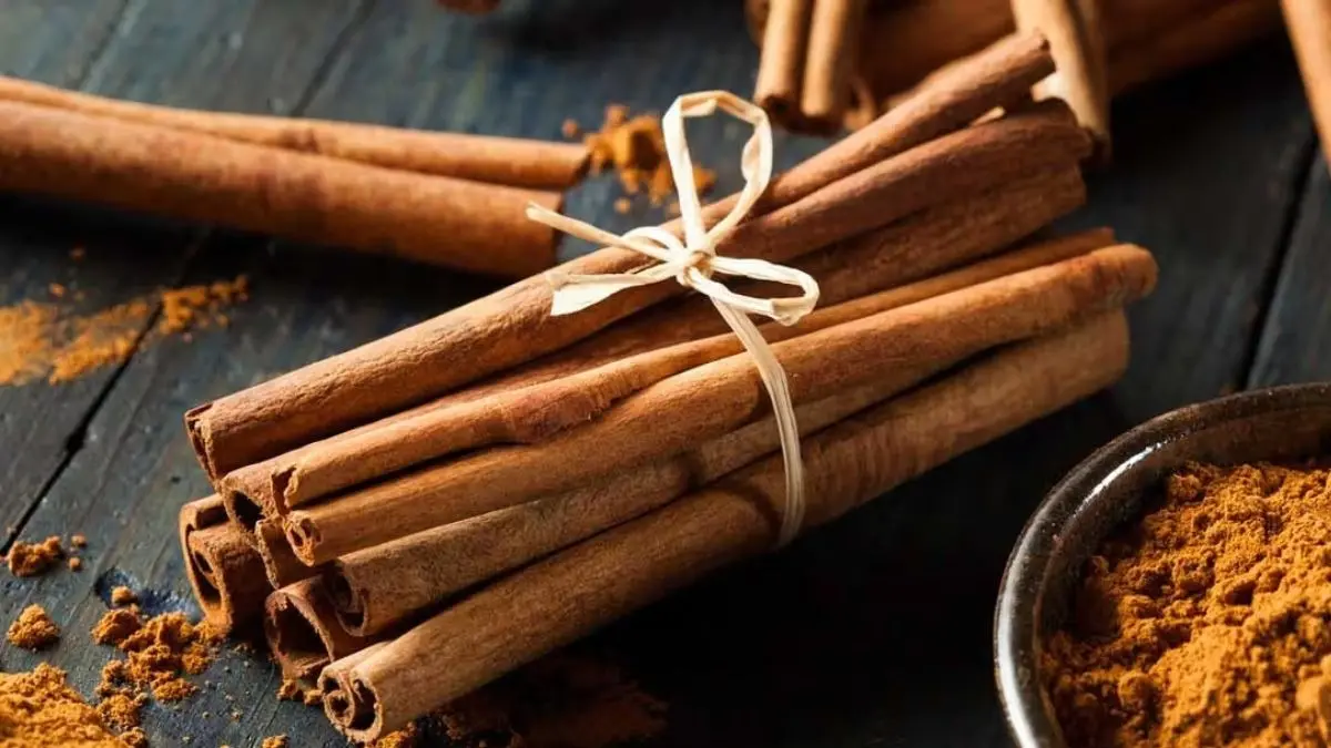 किचन में रखा ये लकड़ी जैसा मसाला बड़े काम का, डायबिटीज से लेकर हाई कोलेस्ट्रॉल तक से मिलती है राहत; जानें कैसे करें इस्तेमाल cinnamon