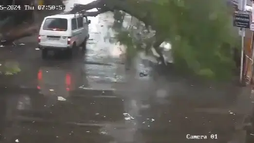 Video Shows Massive Tree Falling on Pillion Rider, School Bus in Pune Amid Heavy Rains Close Shave For School Van, Pillion Rider As Massive Tree Gets Uprooted