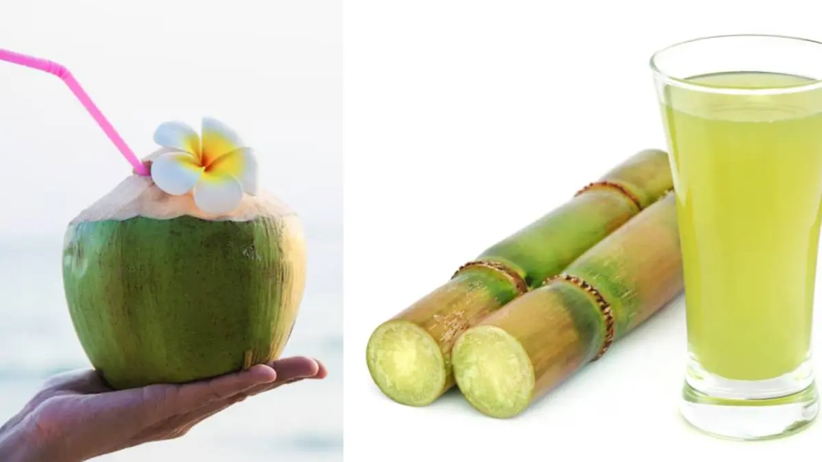Coconut Water vs Sugarcane Juice