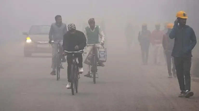 Cold Weather Persists in Rajasthan with Sikar Recording a Low of 3.5 Deg C