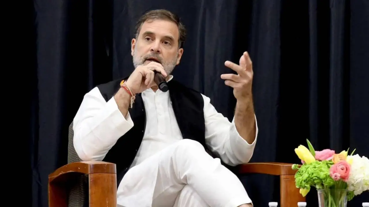 congress mp rahul gandhi