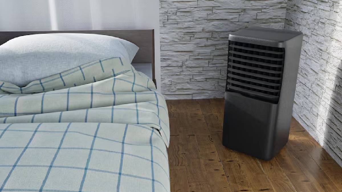 Description of the pic