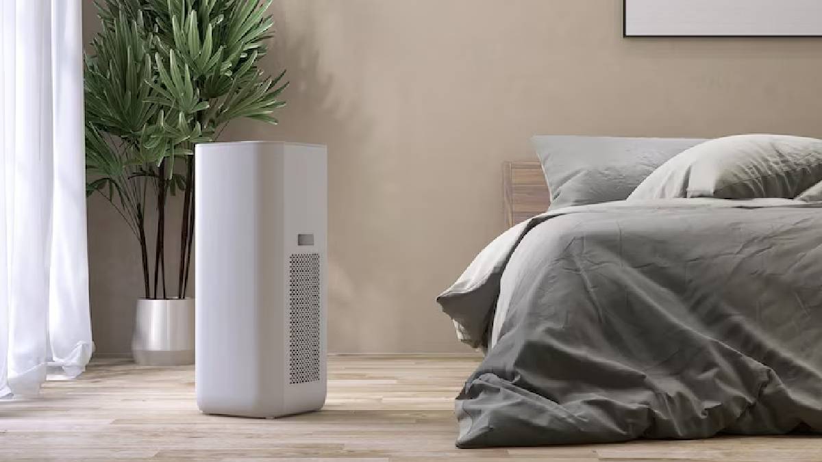 Description of the pic