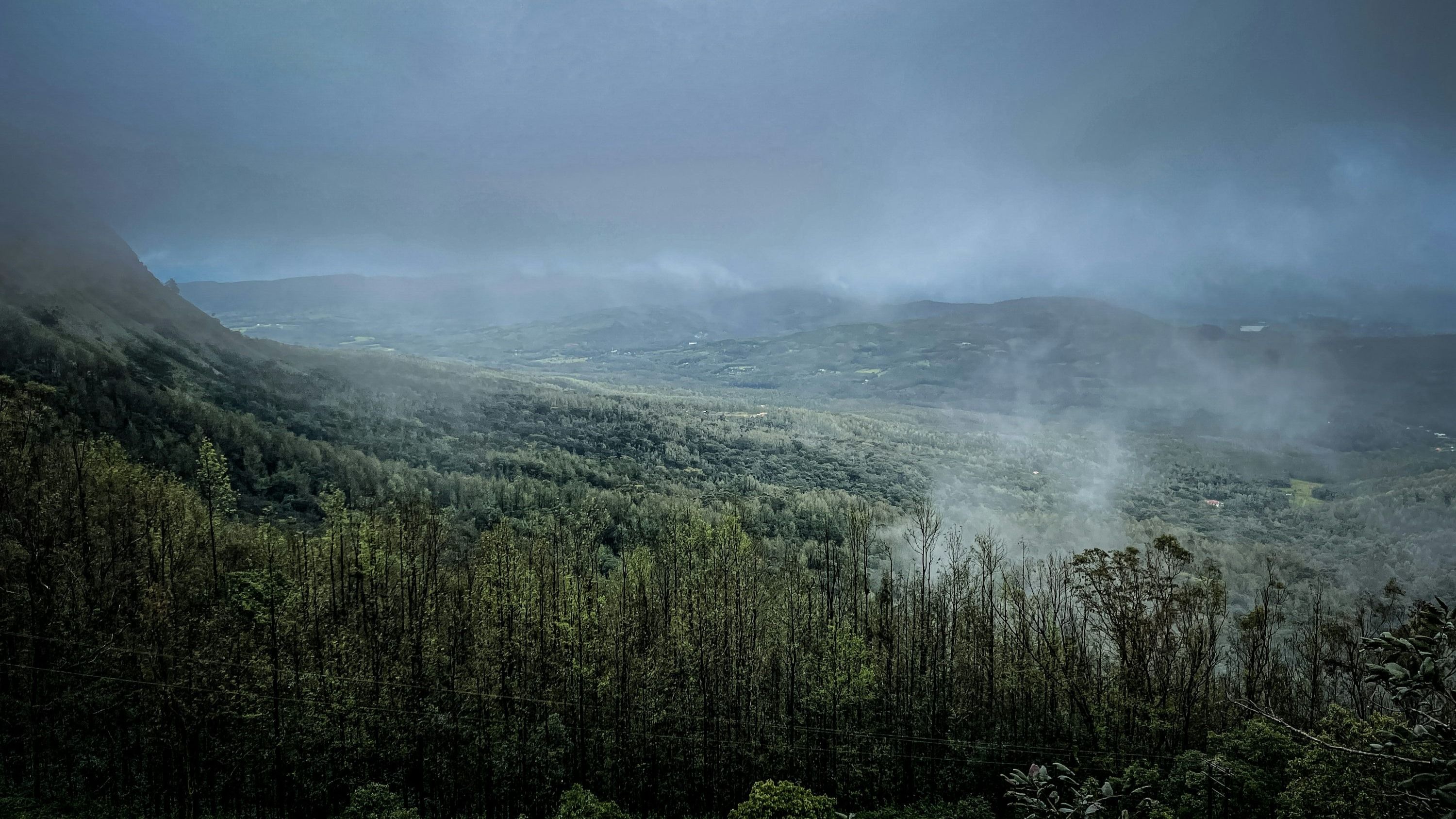 Coorg, Karnataka