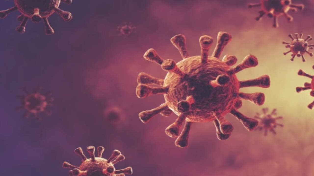 Coronavirus
