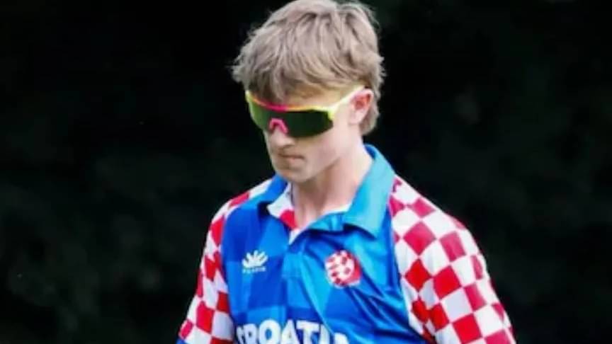 Description of the pic