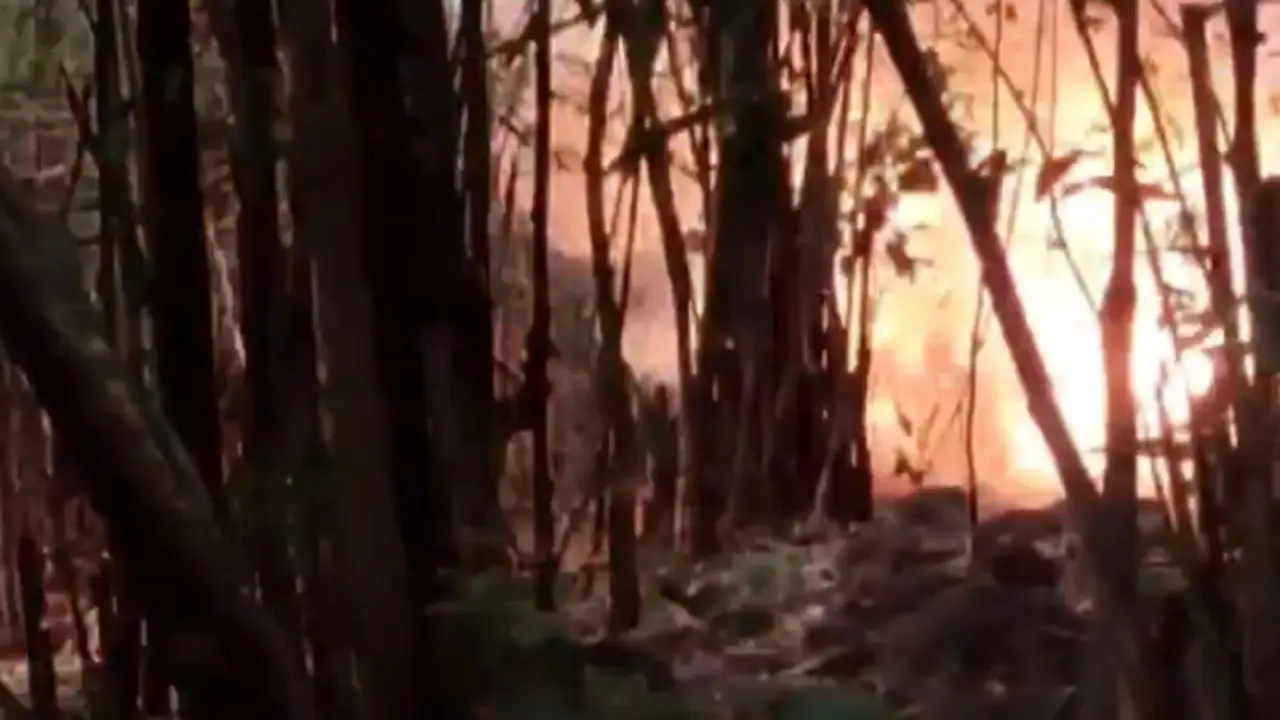 CRPF Neutralised IEDs In Chhattisgarh's Gaurmund Forest