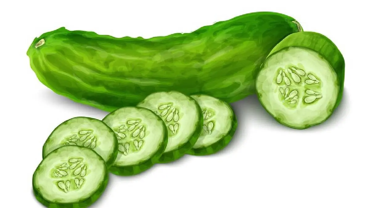 cucumber benefits