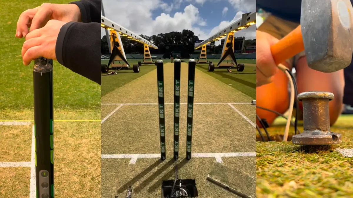Curators work on the Adelaide Oval pitch