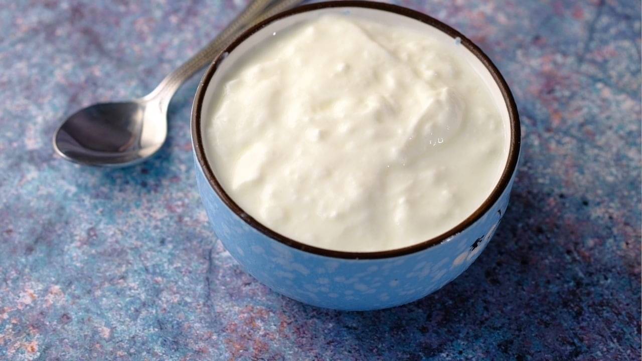 Curd benefit