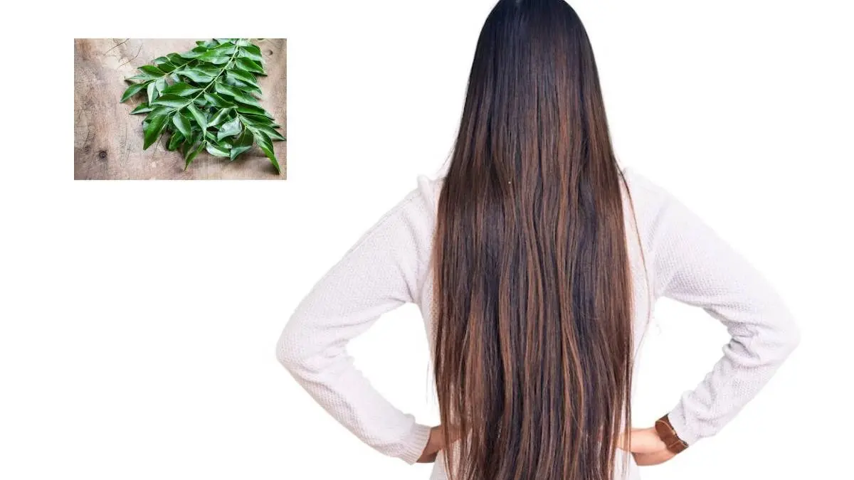Curry Leaf For Hair