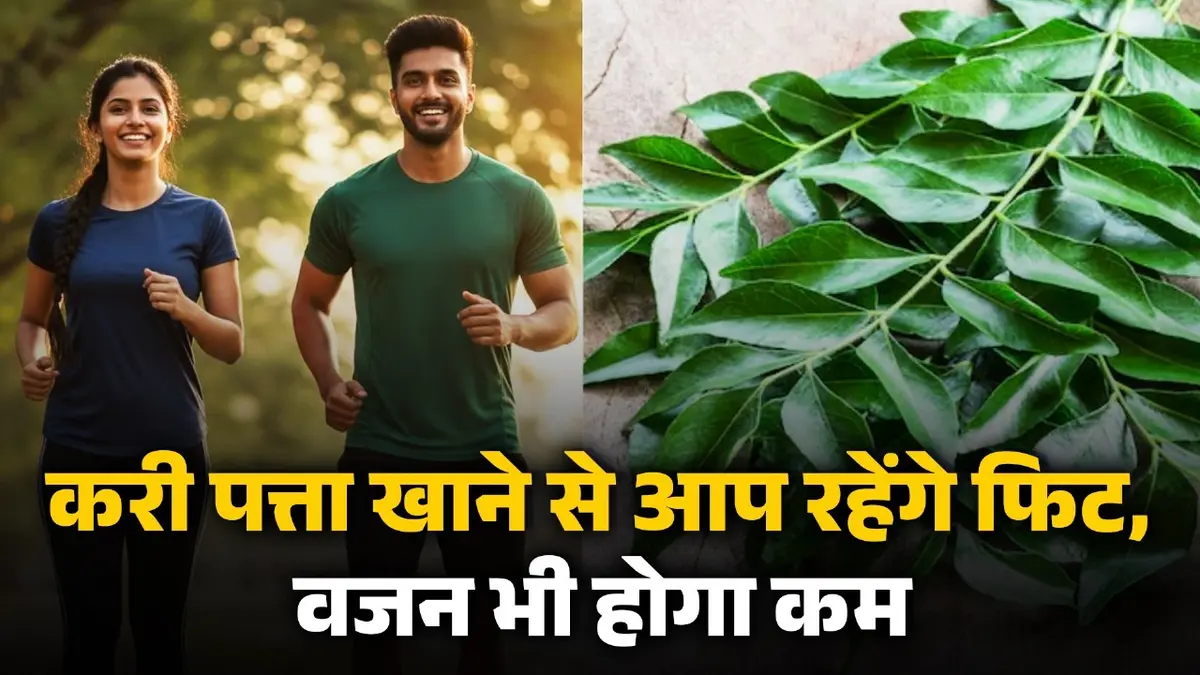 Curry Leaves: करी पत्ता है सेहत के लिए संजीवनी बूटी, जानें सेवन का सही समय और तरीका; मिलते हैं गजब के फायदे curry-patta-benefits-for-health-sevan-ka-sahi-samay-aur-tarika