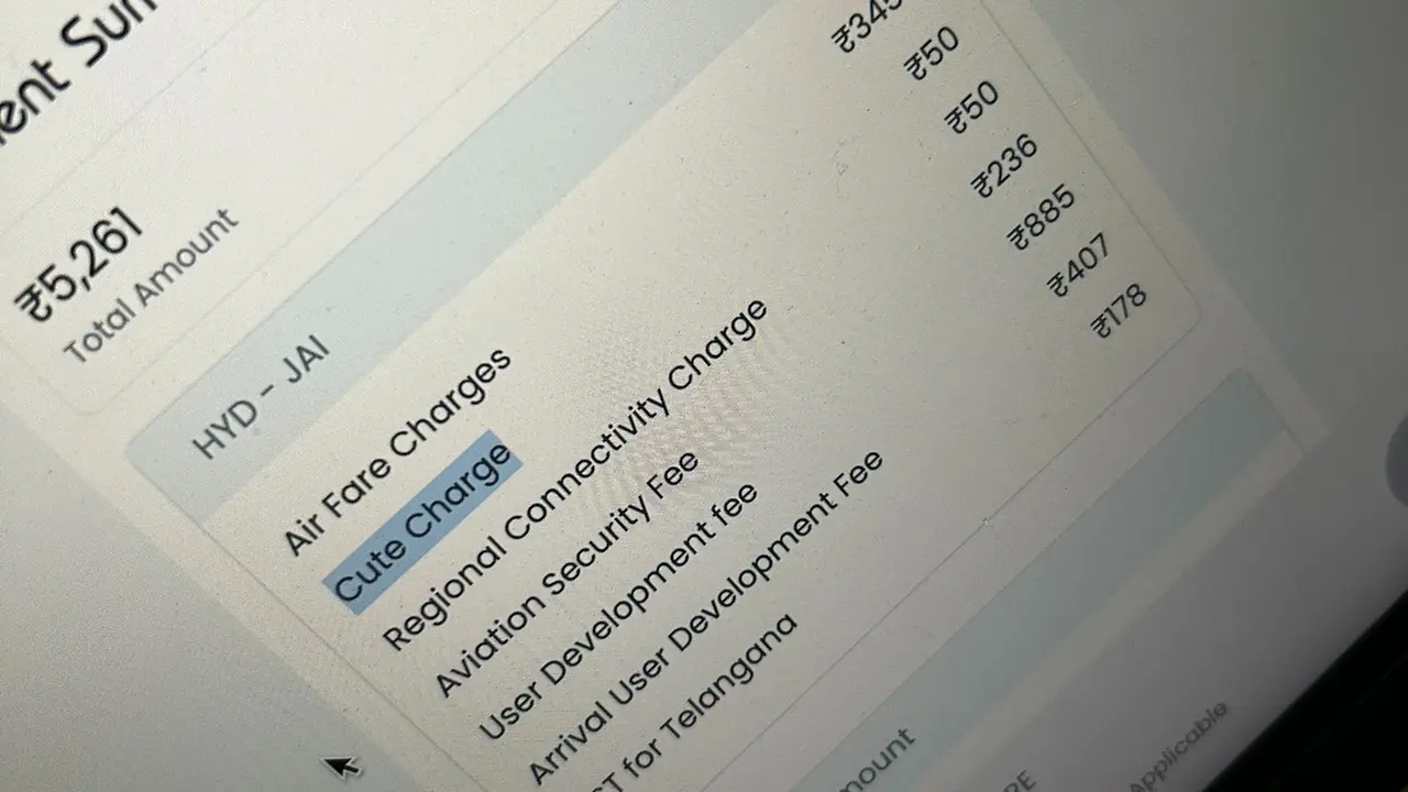 ‘Cute Charge’: Flight Bill Stuns Passenger and Sparks Viral Online Frenzy with Hilarious Reactions