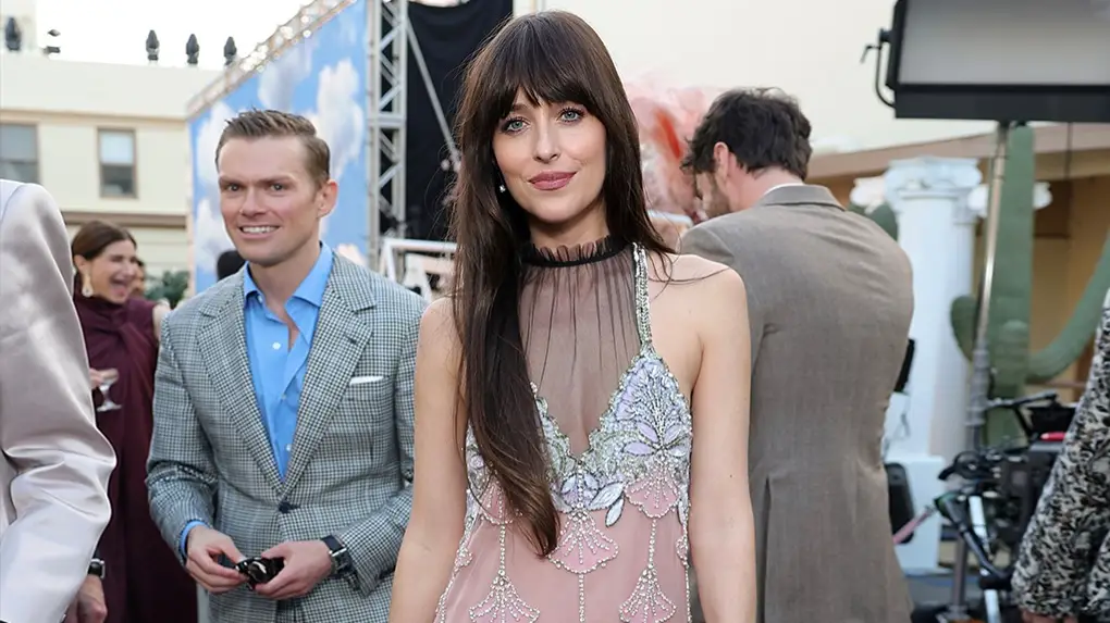 Description of the pic