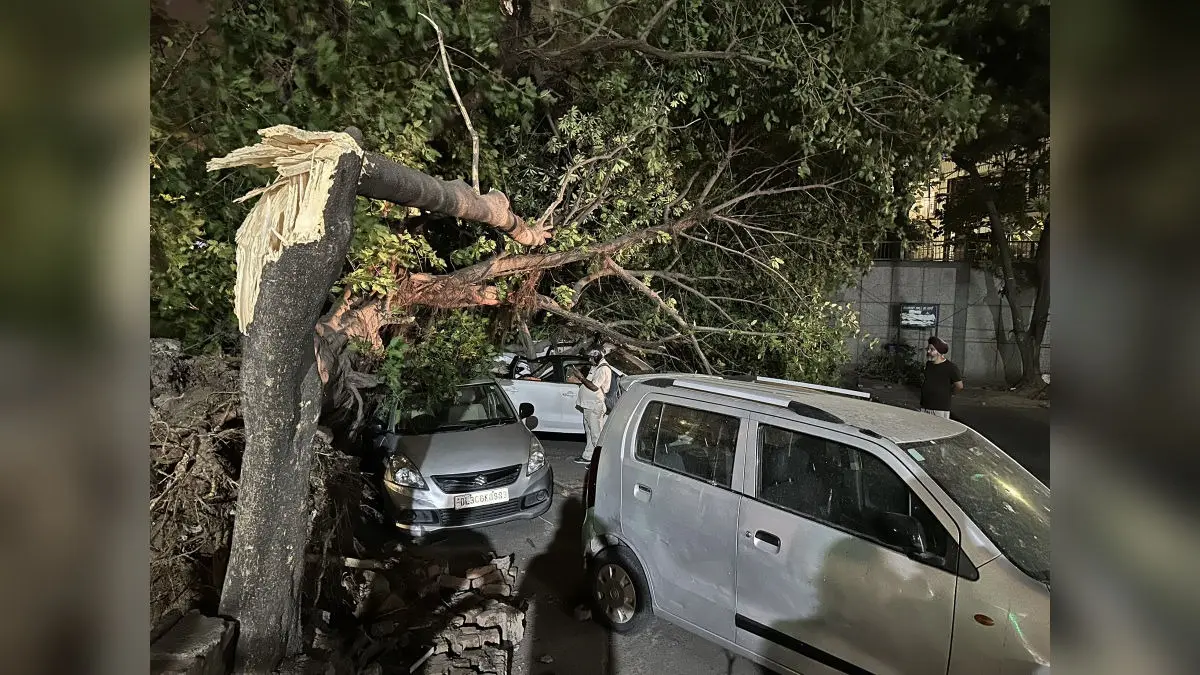 Blurred Lines Of Regional Weather: What's Behind The Unseasonal Thunderstorms In Delhi-NCR? Damage in Delhi-NCR due to thunderstorms, hail, and heavy rainfall.