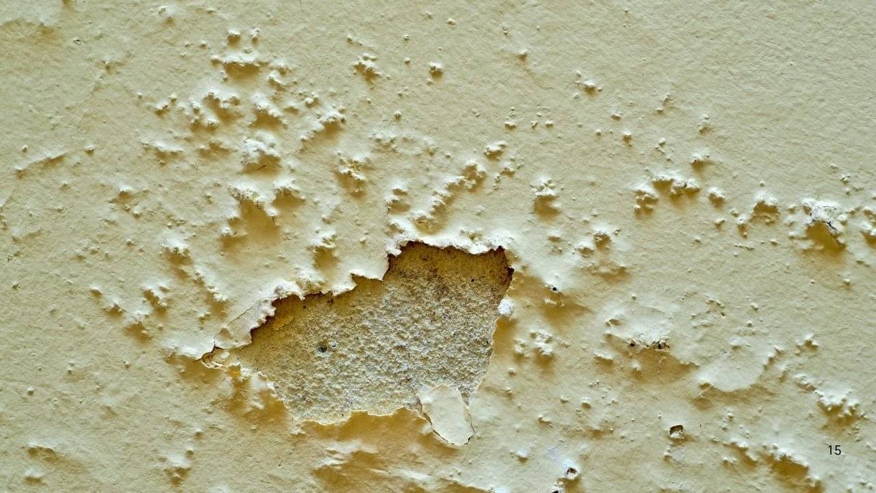 Description of the pic