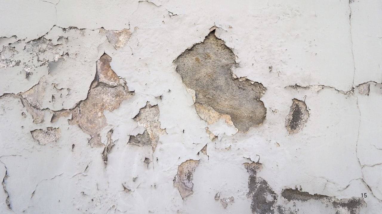 dampness relief
