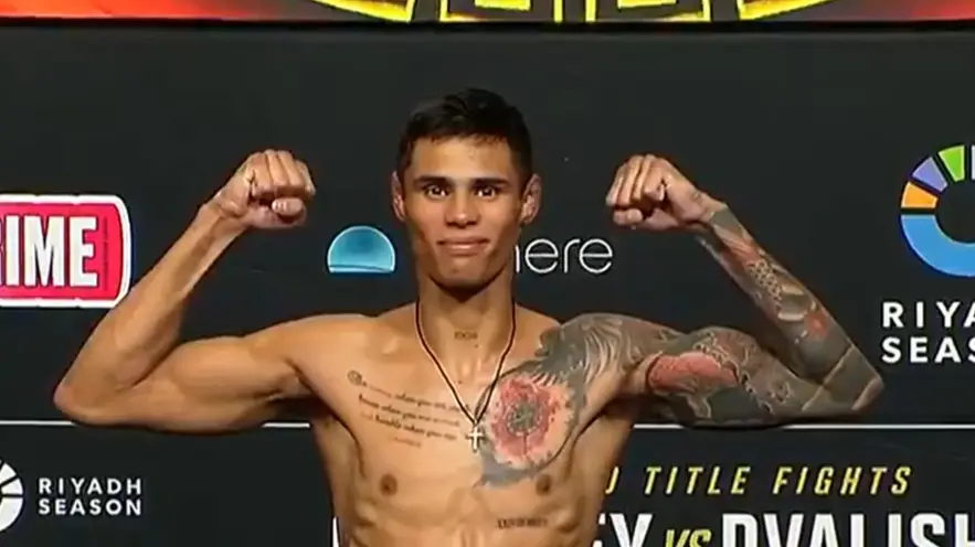 Description of the pic