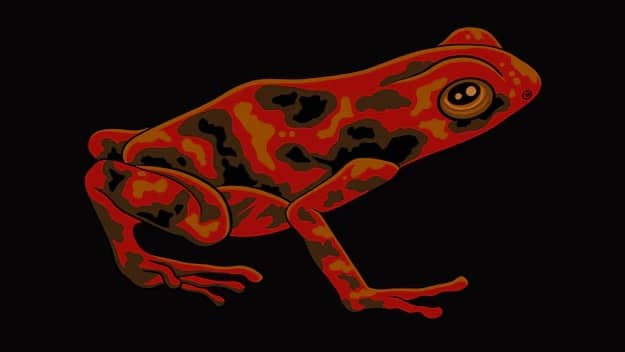 Description of the pic