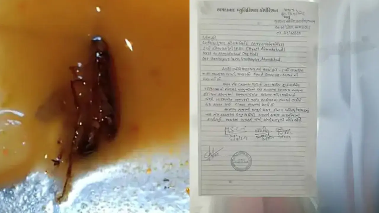 Dead cockroach found in sambar in Ahmedabad