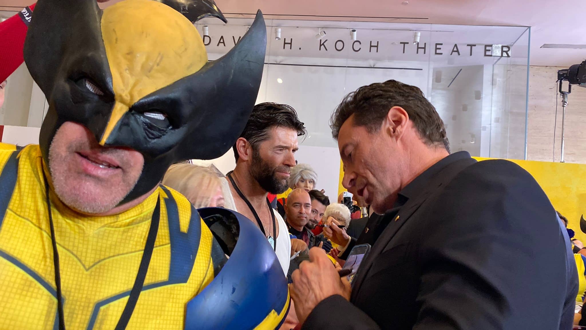 Description of the pic