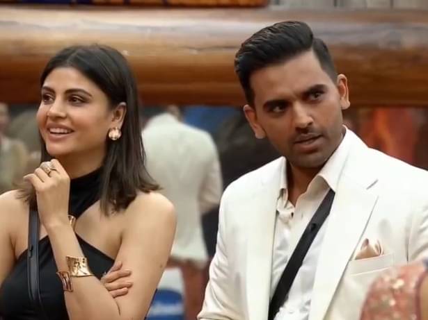 Description of the pic