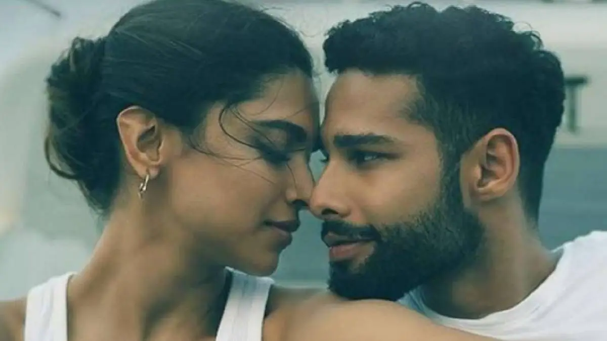 Description of the pic